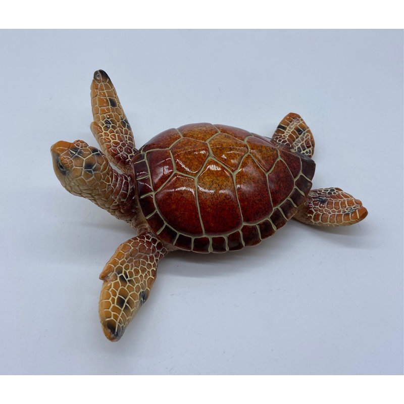 Tortue