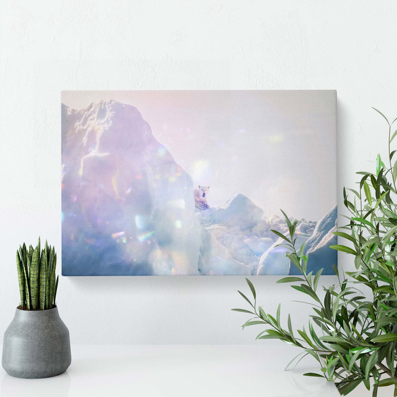 Polar Bear In The Wild - Wrapped Canvas, 50cm H x 76cm W x 3cm D