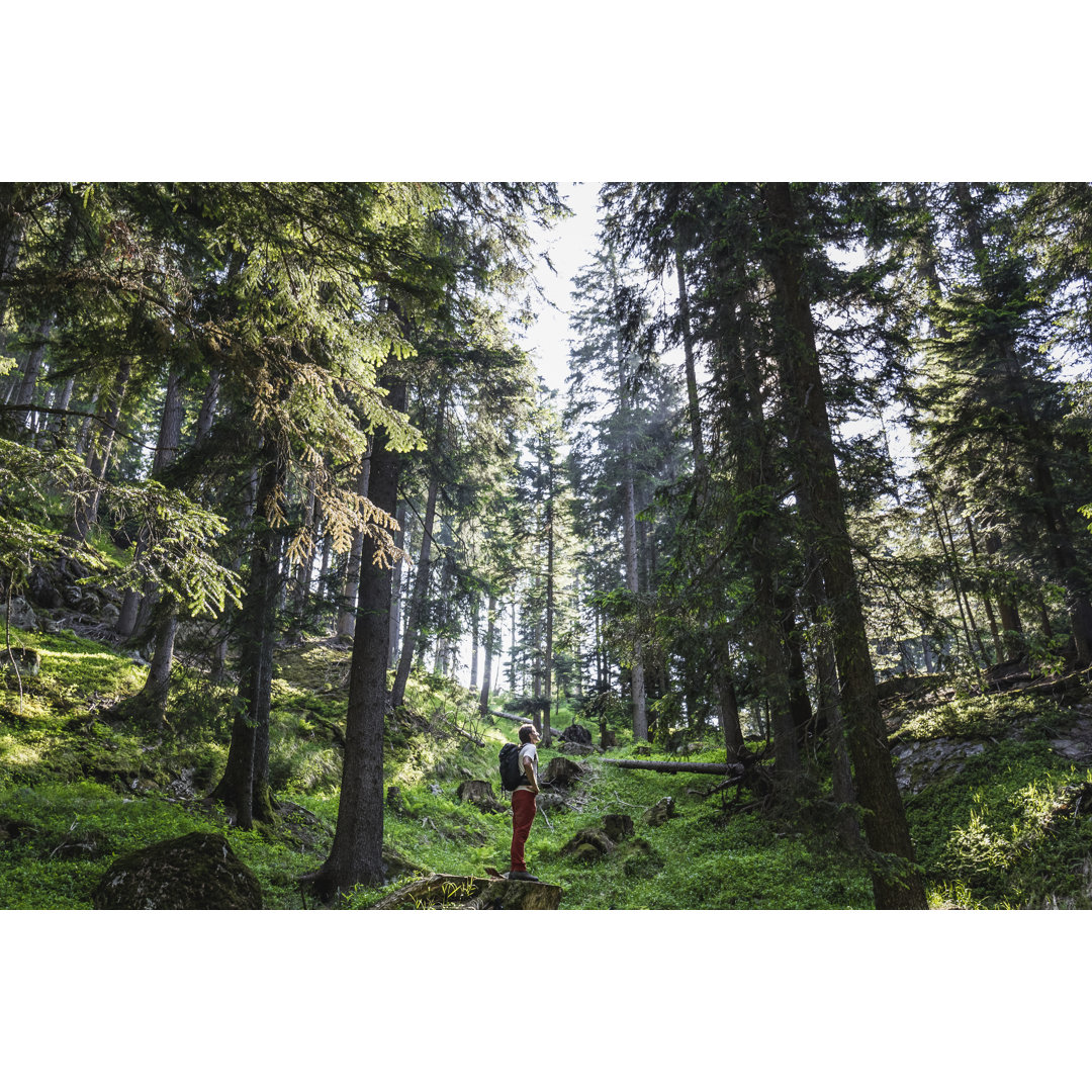 Mann Wanderer in den Wald von Deimagine - Leinwandbild