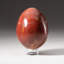 Polished Petrified Wood Egg from Madagascar (1.3 Lbs)