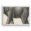 Brodtmann éléphant - cadre photo, reproduction d'art sur toile-367283284-367283288