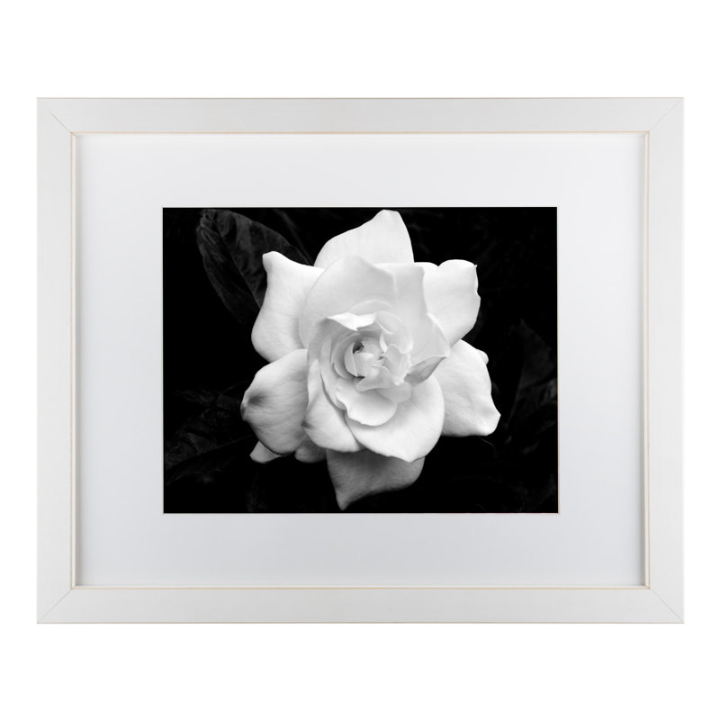 « gardenia », reproduction de photo sur toile, H 11 po x l 14 po x P 0,5 po, Blanc, Cadre blanc
