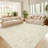 Vintage Machine Washable Area Rug Soft Non Slip Thin Floor Carpet, Low Pile Non Shedding Rug, Stain Resistant Printed Rug for Bedroom Living Room-1377451427