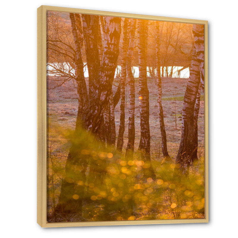 Forêt de bouleaux au bord du lac - Art mural sur toile traditionnel, H 40 po x l 30 po x P 1,5 po