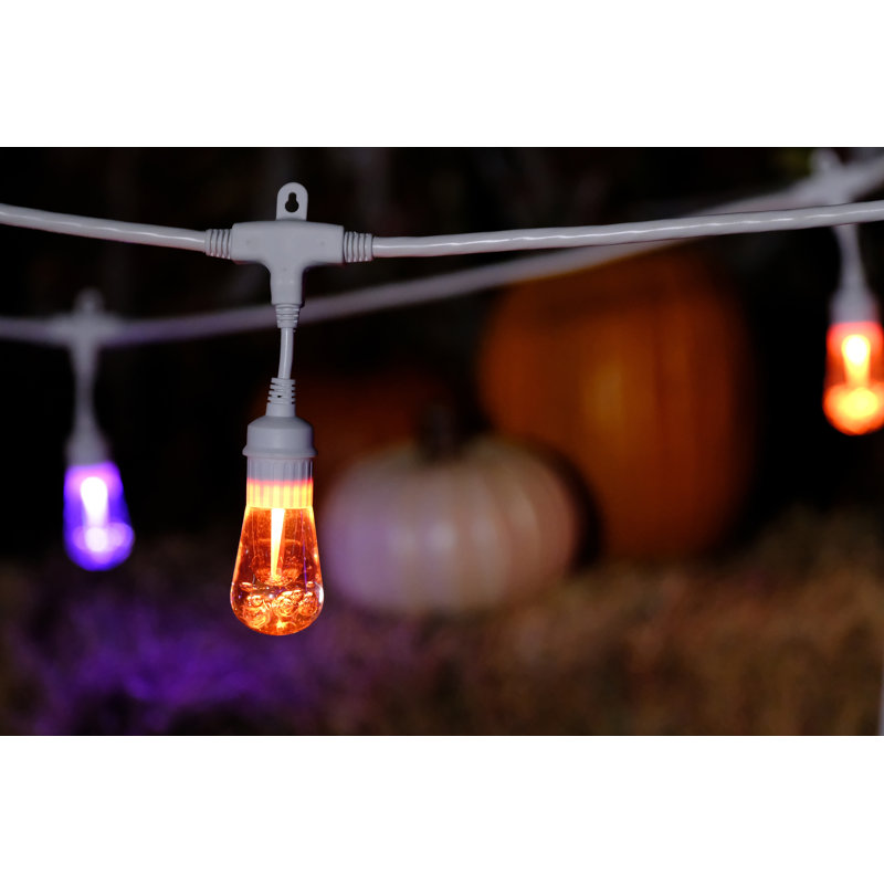 24 ft White Cord Color-Changing LED Outdoor String Lights with Remote