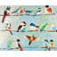 Petits oiseaux colorés abstraits - impression de bureau-1185616955