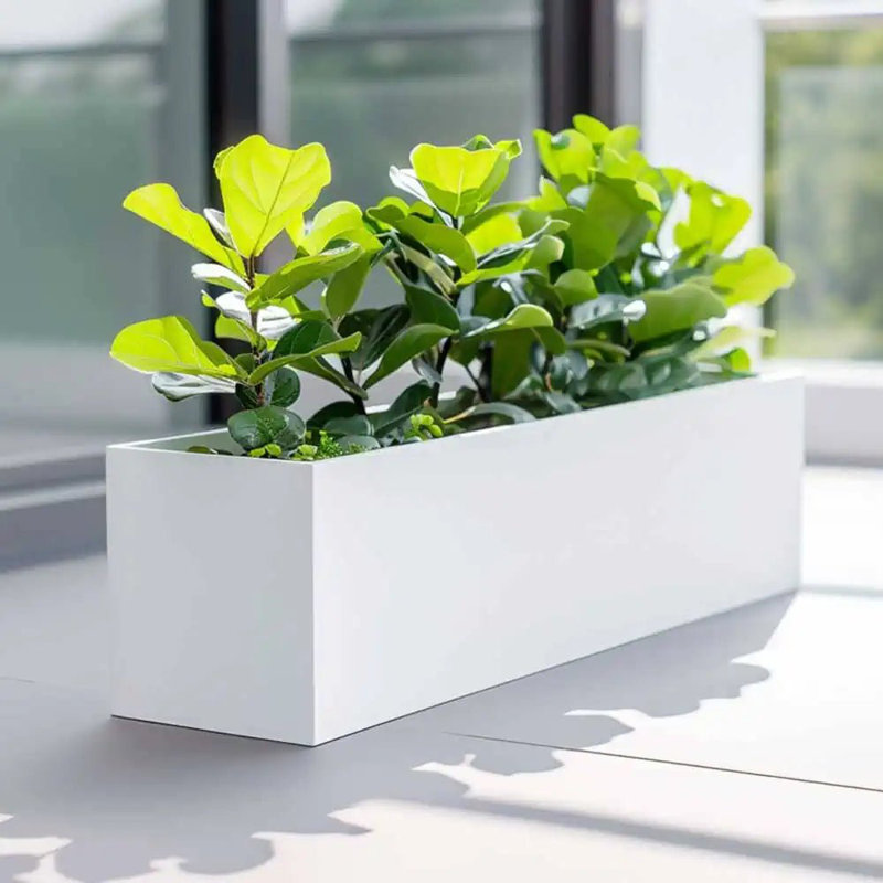 Reny Galvanised Zinc Trough Planter, White, 40cm H x 120cm W x 40cm D