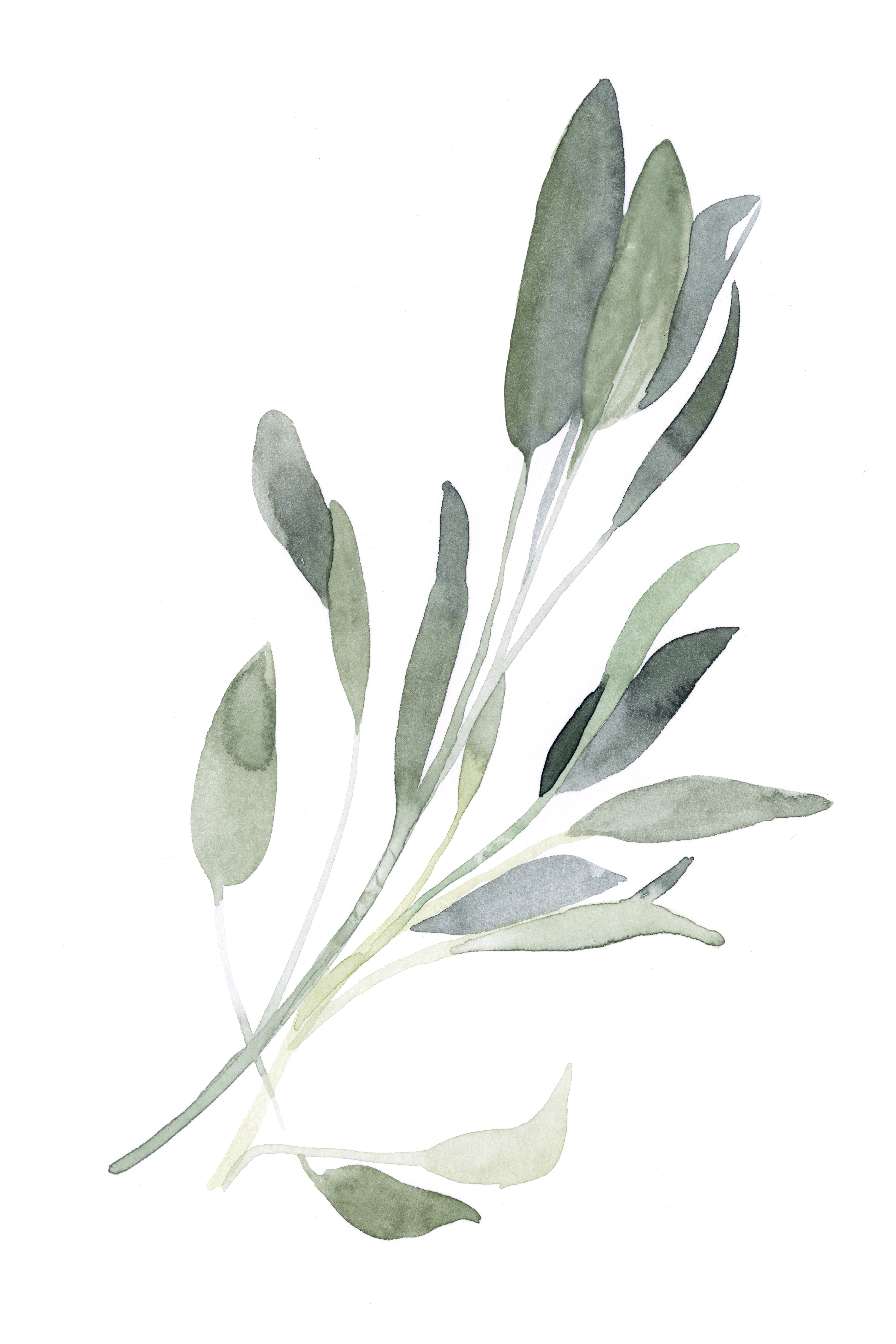 Sage Simple Shape August Grove Simple Sage I by Emma Scarvey - Painting | Wayfair.co.uk