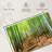 Alvord Iconic Kyoto Bamboo Forest-111983940