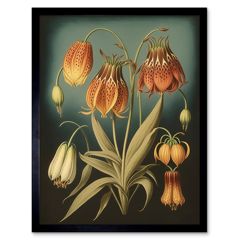 Fritillaria Flower Plant Ernst Haeckel Inspired Plant - Single Picture Frame Print