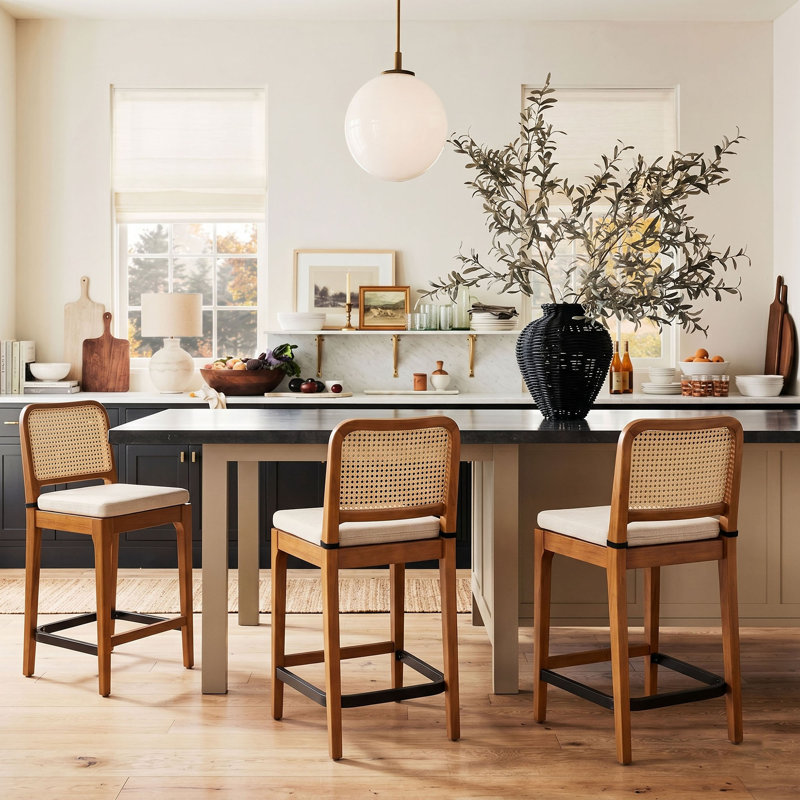 Jaime Coastal Counter Height Counter Stool with Rattan-Look Backrest (Set of 2), Acorn