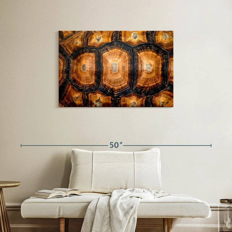 Turtle Shell, 24" H x 36" W