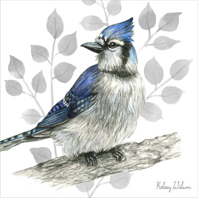 «Backyard Birds I-Blue Jay» par Kelsey Wilson, impression sur toile tendue