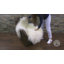Tapis d'intérieur en peau de mouton 