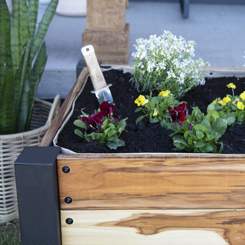 Backyard 10 Cubic Foot Teak Planter with Powder Coated Legs