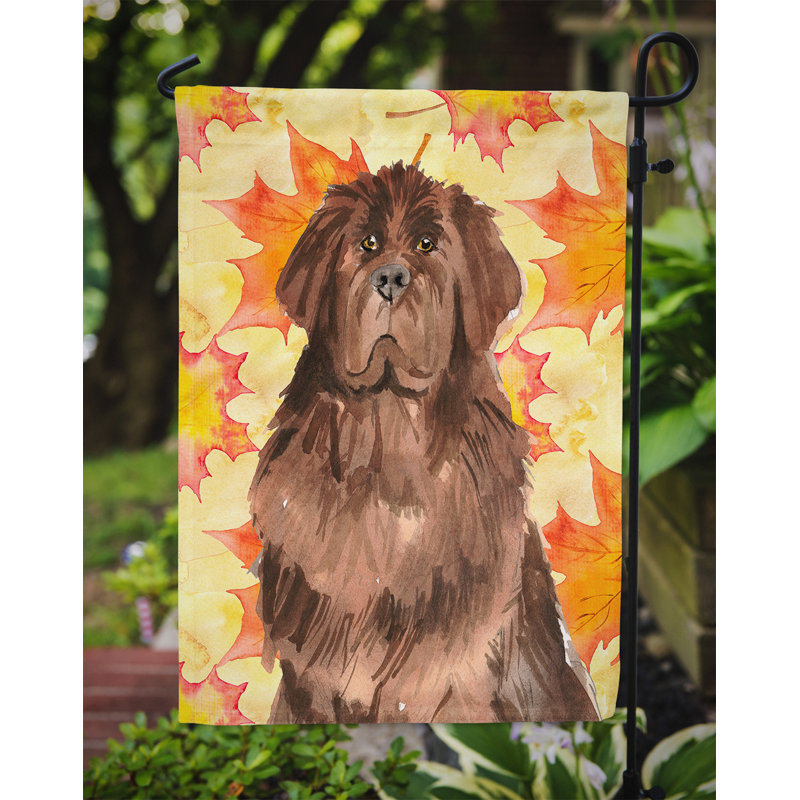 Double Sided 15'' H x 11'' W Polyester Animal Garden Flag, Brown Newfoundland