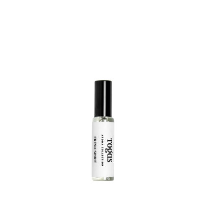 Fresh Spirit Holiday Reed Diffusers And Sticks