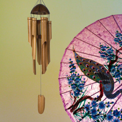 Carillon 1/2 1/2 noix de coco
