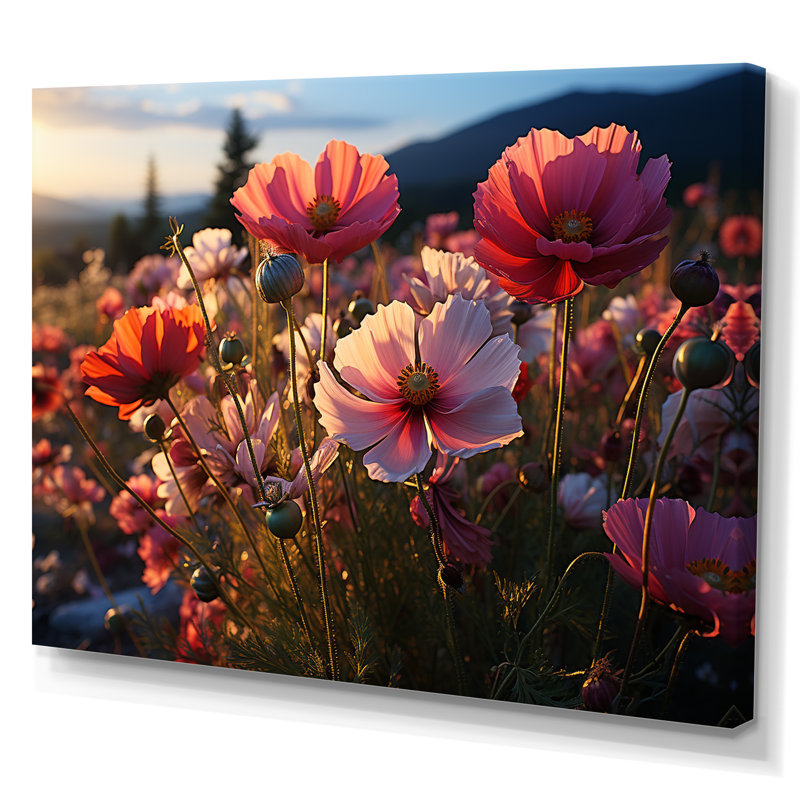 Champs roses de fleurs sauvages, H 16 po x l 32 po x P 1 po, Toile tendue
