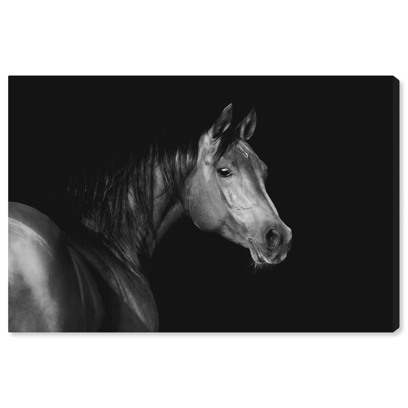 Reproduction d'art sur toile noir, animaux, H 16 po x l 24 po x P 0,8 po