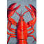 Area Rug-93636635