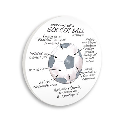 Anatomy Of Soccer Ball Informative Learning Sports Diagram by Dishique - Unframed Graphic Art on Wood