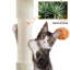 Size Cat Paw-Shaped Play Tower-429770070