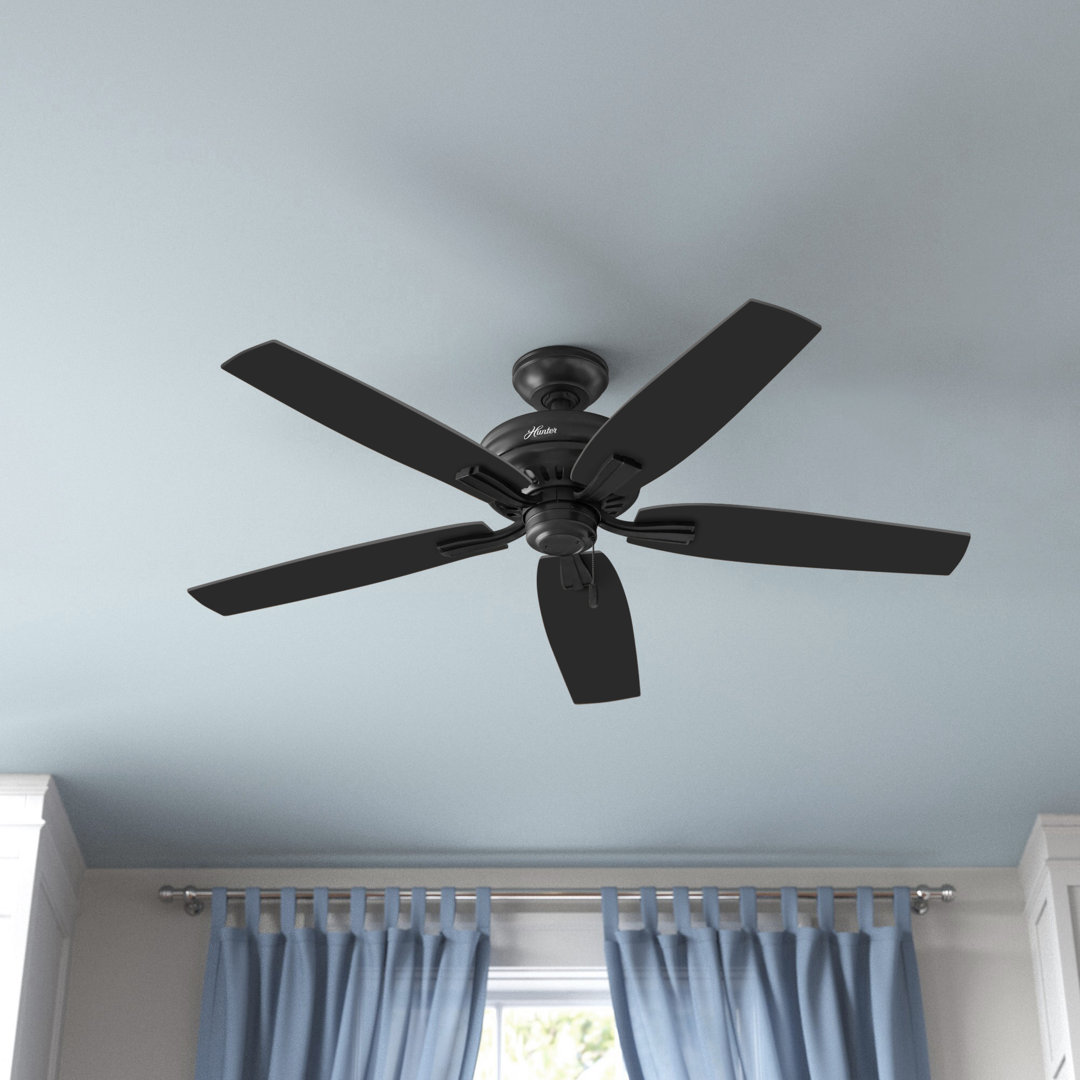 52" Newsome 5 - Blade Outdoor Standard Ceiling Fan with Pull Chain Hunter Fan 