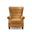 Buttoned Carmona Wingback Recliner Chair-1270978154