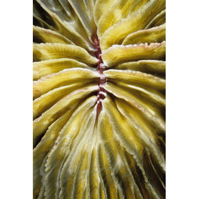 Enticing Thailand 1 Piece Wrapped Canvas Wall Art