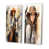 Toile tendue