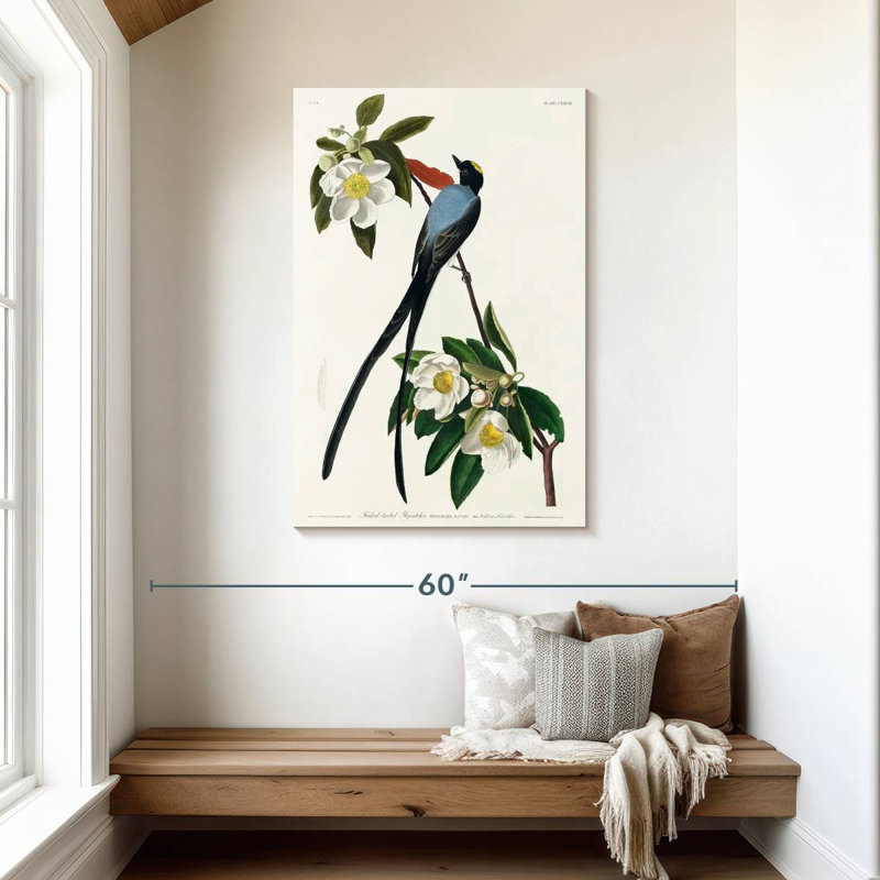 Brampt Fork-Tailed Flycatcher, 45" H x 30" W