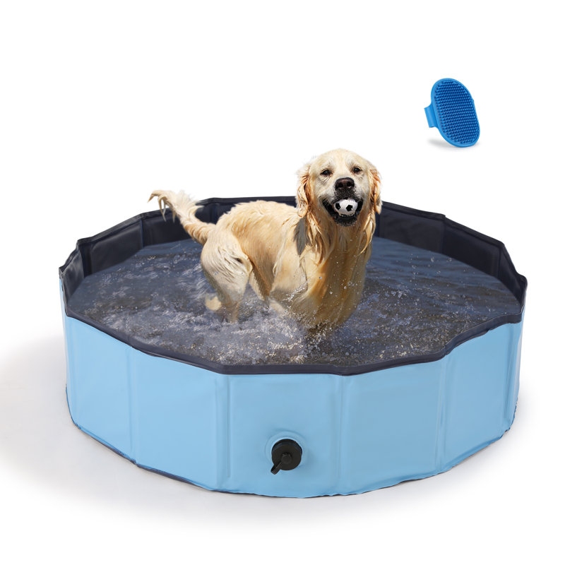 Baignoire portative pliable pour chien, H 12 po x l 48 po x P 48 po