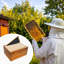 Deep Brood Bee Hive Kit Langstroth 10-Frame, Warp-Resistant Fir Wood Beeswax-Coated Tool-Free Assembly, Beekeeping Starter