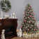 Dunhill Fir Tree with Clear Lights