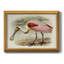 Roseat Spoonbills II - peinture sur toile encadrée-638858296