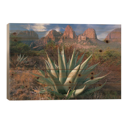 Loon Peak® Chisos Agave And The Chisos Mountains, Big Bend National ...