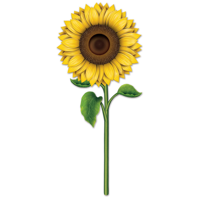 Découpe de tournesol, 3 pi, paquet de 12