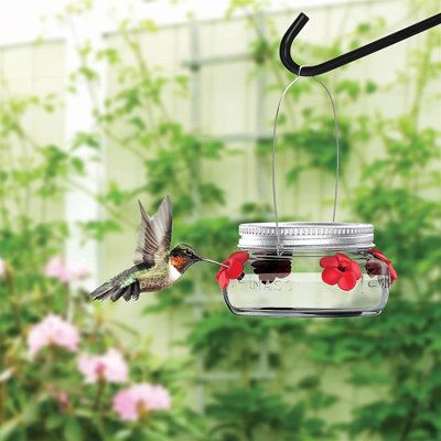 Gildford Glass Hanging Hummingbird Feeder