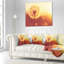 Coussin floral fleur pissenlit-30613798-30805211
