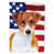 Jack Russell terrier brun sélectionné
