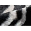 Acadia Animal Print Area Rug in Black