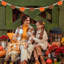 Décoration d'automne, décorations d'automne pour la maison, guirlande de citrouille en feutre et perle de bois pour décorations d'automne, décoration murale de citrouille d'automne pour manteau de cheminée