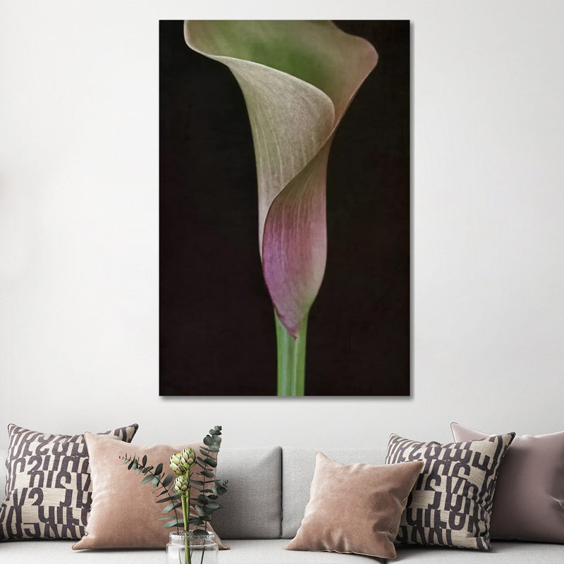 Calla Lily I 1 Piece Wrapped Canvas Wall Art, 152.5 cm H x 101.5 cm W
