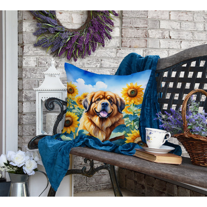 Other/No Pattern Outdoor Throw Pillow, 18"H x 18"W