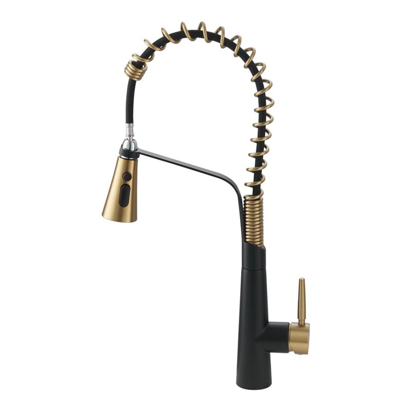 Belfry Kitchen Apollinaris Kitchen Faucet, Matte Black/Gold