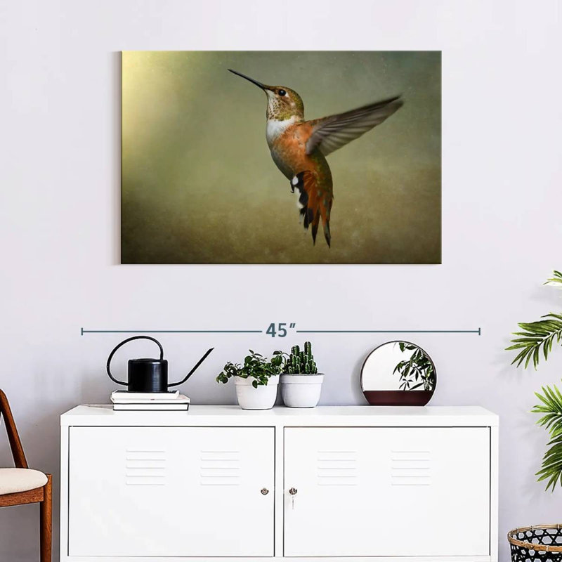 Colibri roux Brampt femelle, H 24 po x l 36 po