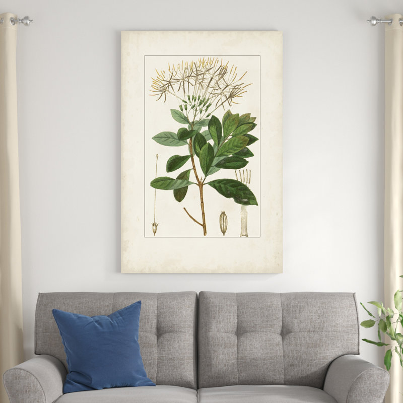 Antique Turpin Botanical II, H 48 po x l 32 po