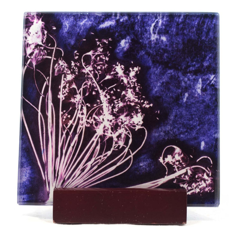 Cordeiro Glass Square 1 Piece Coaster, Purple