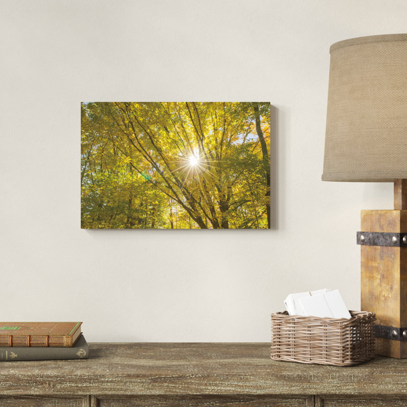 Feuillage d'automne Sunburst V, H 18 po x l 12 po